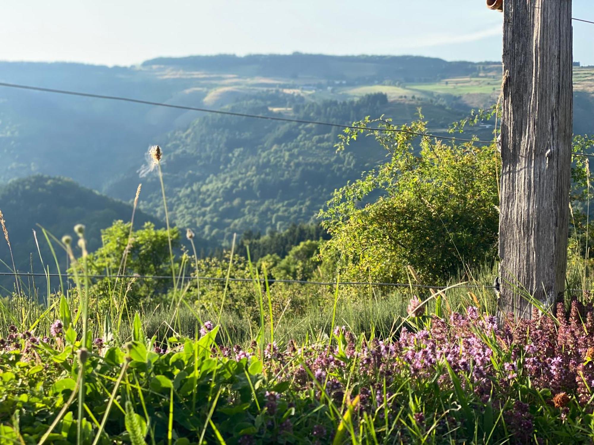 Tiny House De Tempoyrac Villa La Rochette  Kültér fotó